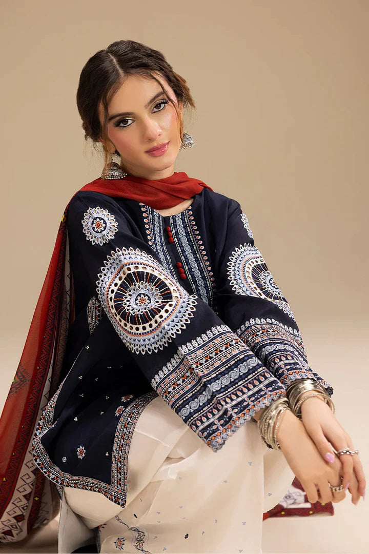 3 Pcs women’s unstitched Dhanak embroidered suit