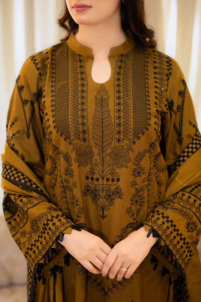 Heavy Embroidered Dhanak Suit (Embroidered Dhanak Shawl)
